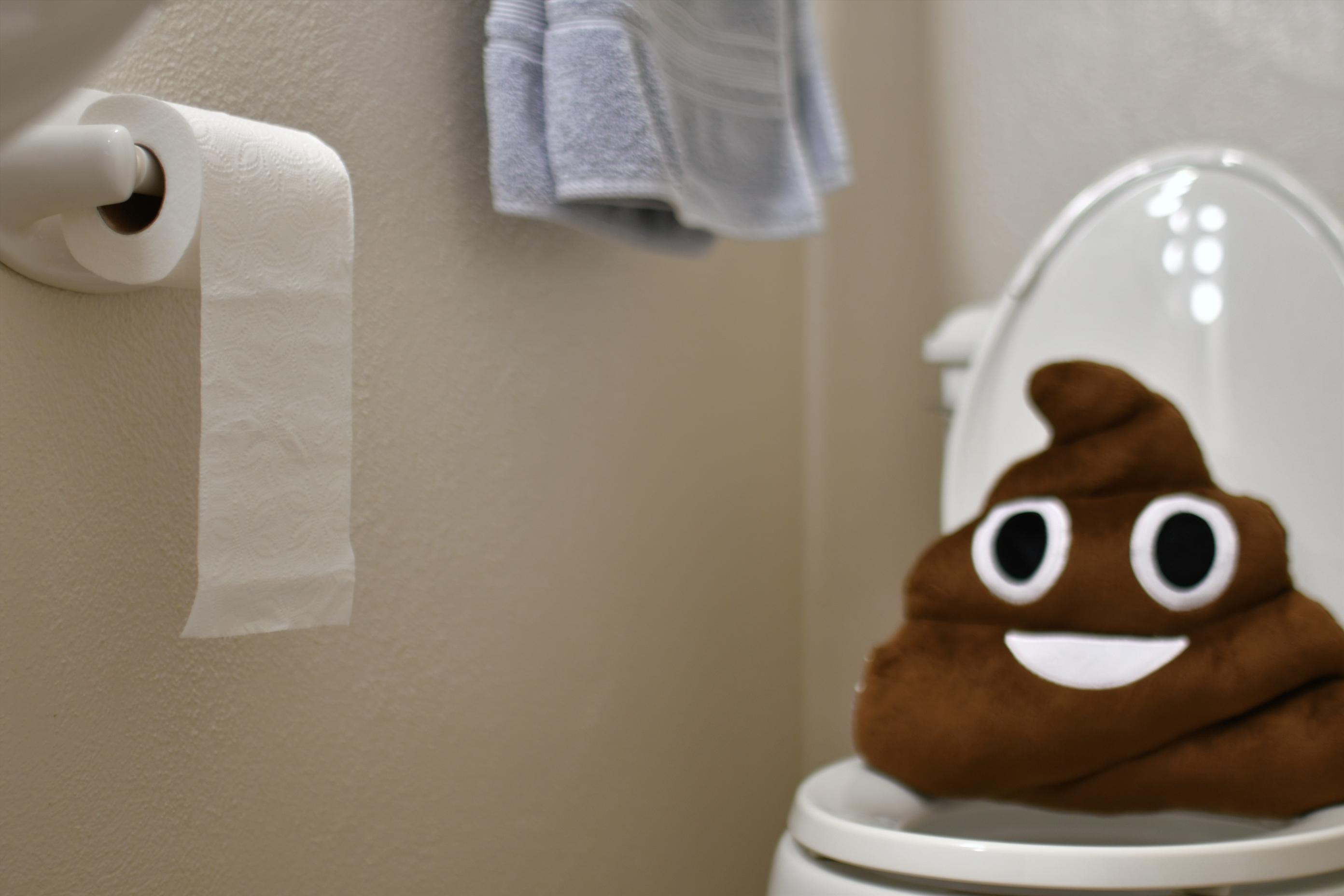 4 Ways to Unclog a Toilet That Won't Drain